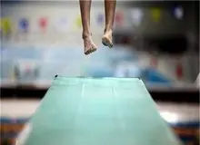 دایوهای جدید وارداتی در استخر مجموعه آزادی نصب می شود