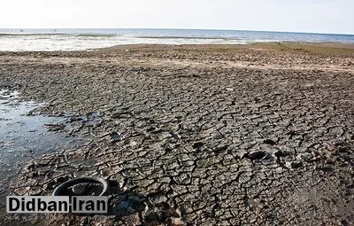 معاون سازمان محیط‌زیست: خلیج گرگان در معرض خطر خشک شدن است