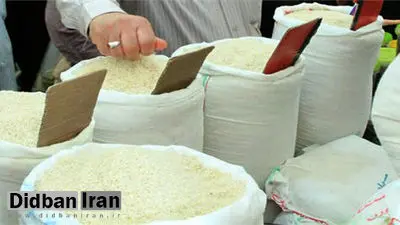 روند افزایش چشمگیر قیمت برنج در دو سال +جدول