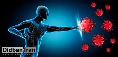 با این ۴ ماده طبیعی، ویروسها جرات نزدیک شدن ندارند+اسامی