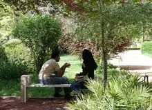 مجازات بوسیدن در انظار عمومی چیست؟
