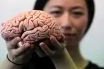 با این چهار روش مغز را تقویت کنید