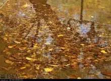 نیمه غربی و شمالی کشور بارانی است/ افت شدید دما در بیشتر مناطق