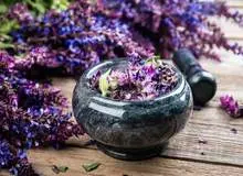 گیاهی که برای افزایش حافظه معجزه می‌کند+طرز تهیه 