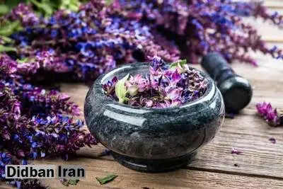 گیاهی که برای افزایش حافظه معجزه می‌کند+طرز تهیه 