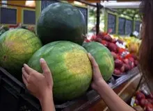 با این خوراکی ها در تابستان خنک بمانید
