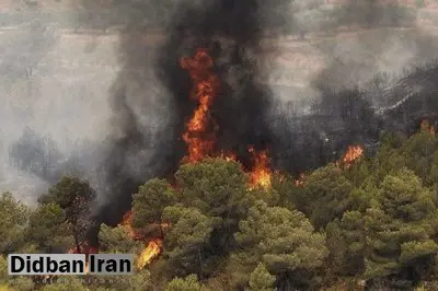 آتش‌سوزی در جنگل‌های نور مازندران 