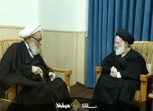 گفت وگوی تلفنی آیت الله امینی با آیت الله شبیری زنجانی/ملاقات آیت الله گرامی با این مرجع تقلید 