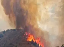 جزییات آتش سوزی در جنگل های پره سر رضوانشهر