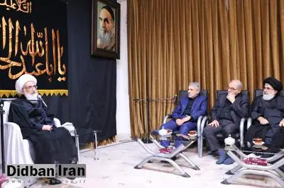 آیت الله نوری همدانی: مردم در حادثه زلزله غرب کشور سنگ تمام گذاشتند