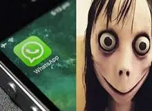 نوجوان تبلیغ کننده مومو بازداشت شد+جزییات 