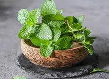 با ۸ خاصیت نعنا آشنا شوید