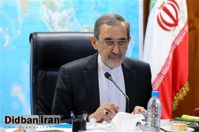 ولایتی: ظریف، موگرینی را به بندهای نقض شده برجام ارجاع داد/ترامپ هرجا رفته با خود شر برده است