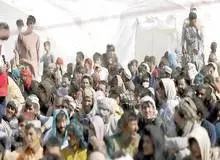 حاجی دلیگانی: وزارت کشور، وزارت امور خارجه، سپاه مسئله مهاجران افغان را رها کرده اند/ نرخ زاد ولد اتباع خطرناک است/ هشدار کارشناس حوزه مهاجران: تمرکز مهاجران افغانستانی در چند استان کشور بحران زا است/ جمعیت افغان ها در تهران چهار برابر شده