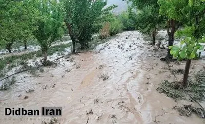 ۱۳ کشته و ناپدید در پی وقوع سیل امروز در جیرفت