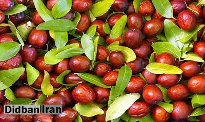 خواص شگفت‌انگیز این ماده غذایی؛ از کاهش کلسترول تا تقویت پوست