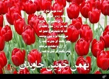 کمپین ارگان رسانه‌ای نزدیک به سپاه: رسانه ملی سرودهای انقلابی را در دهه فجر بیشتر پخش کند