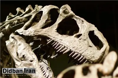 هواشناسی ماقبل تاریخ از روی فسیل دندان دایناسورها!