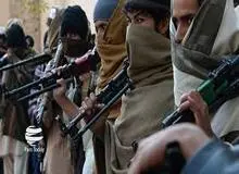 آقای نماینده! طالبان شیعه کُش و جنایتکار «جنبش اصیل» نیست/ تصاویر 18 +