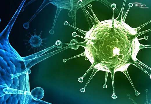 آخرین وضعیت بیماری نیپا/ این ویروس فعلا هیچ دارو یا واکسنی ندارد/ در کدام کشورها دیده شده؟