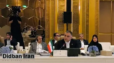 نماینده ایران به ریاست هیاتهای اجرایی کشورهای صادرکننده گاز رسید