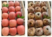 ضررهای میلیاردی فروشگاه‌های آنلاین چین/ ماجرا چیست؟