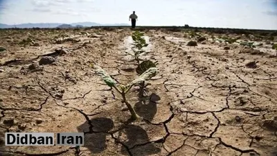 پیش بینی رئیس مرکز ملی اقلیم سازمان هواشناسی: کشاورزی در ایران به زودی تعطیل می‌شود