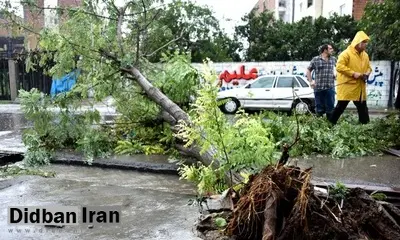  توفان به 140 روستای مازندران خسارت زد