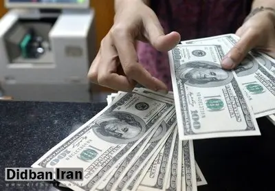 کف بازار هیچ معامله ای صورت نمی گیرد؛ پس چرا قیمت دلار بالا می رود؟/ فروشندگان مجازی در حال خالیفروشی هستند