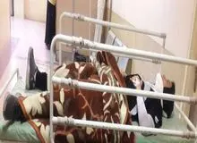 ضرب و شتم یک بانوی فوتسالیست در مسابقات قم