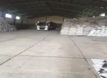 جوابیه محمد طاهر شمس به احمد توکلی:شما در جایگاه تعیین تکلیف برای دستگاه قضا نیستید