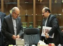 رجا نیوز ادعا کرد: انتشار اسامی بیش از 250 شرکت خاندان محمدرضا نعمت زاده+ لیست
