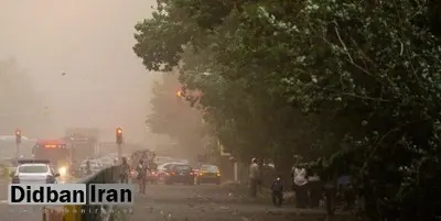 تهران در روز جمعه توفانی میشود/صدور هشدار زرد هواشناسی: احتمال آسیب به سازههای موقت و شکستن درختان فرسوده وجود دارد