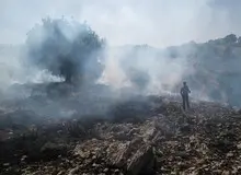 اطفای 2 مورد حریق ناشی از گرمای هوا در سطح جنگل‌های دست کاشت رشت