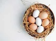 تخم مرغ قهوه‌ای بهتر است یا سفید؟