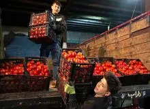 قیمت گوجه فرنگی ۷۰ هزار تومان شد/ جدیدترین نرخ انواع میوه و سبزیجات