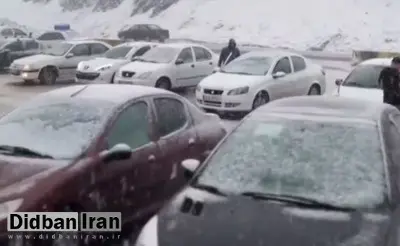 بارش برف شدید در جادهٔ چالوس و توقف خودرو‌ها+فیلم