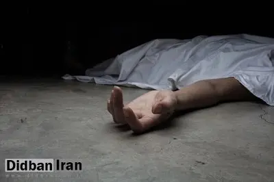 سرکرده داعش و یکی از دستیارانش در مرز عراق و سوریه کشته شدند