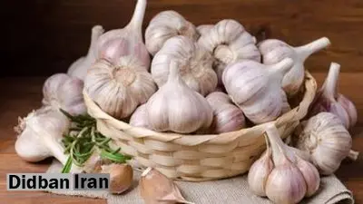 خوردن سیر خام ناشتا باعث لاغری می‌شود؟