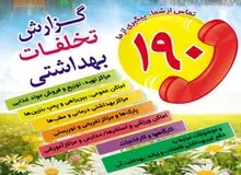 رئیس سامانه بهداشت190: 11 تن موادغذایی فاسد در مسیر راهپیمایی حرم رضوی معدوم شد