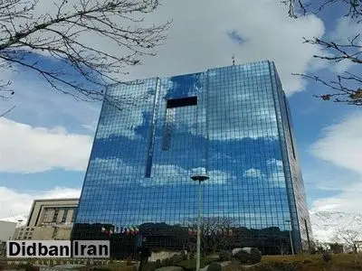 یک مقام بانک مرکزی: هر ایرانی صاحب یک پروفایل ارزی میشود