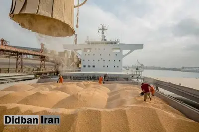 محموله‌های نهاده دامی منتظر تخصیص ارز هستند