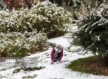برف و سرما تا پایان هفته در ایران می‌ماند/ تهران سردتر می شود