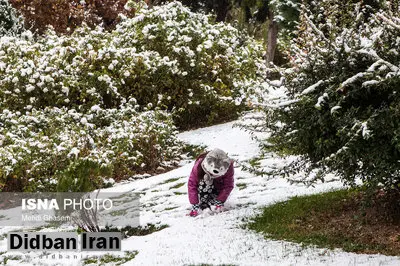 برف و سرما تا پایان هفته در ایران می‌ماند/ تهران سردتر می شود