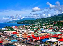 ایرانی ها چقدر «دومینکن» را در اینترنت جستجو کردند؟