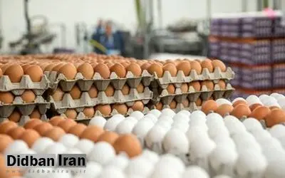 قیمت انواع تخم مرغ پوست سفید و قهوهای اعلام شد