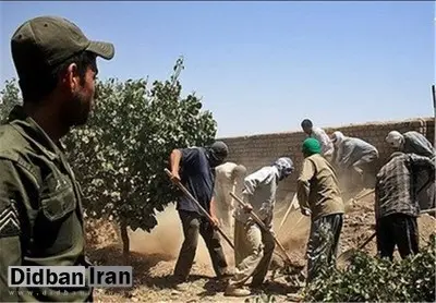 جزئیات جدید از سقوط ۸ نفر به چاه در کوهدشت/ ۷ نفر فوت شدند