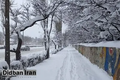 ببینید: رفتگری کودک ۱۱ ساله با لباس شهرداری در شب برفی تهران+ فیلم 