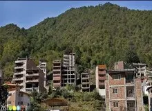 حراج جنگل و شالیزار