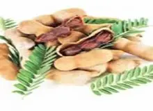 سم زدایی بدن با تمبر هندی و آلوچه